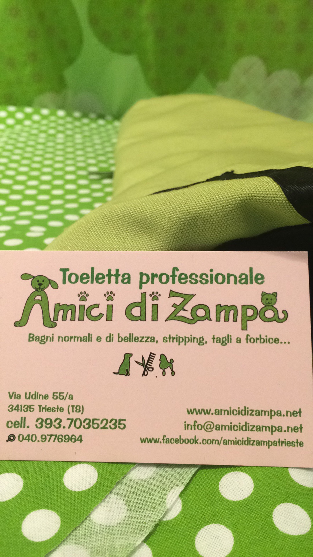 Toeletta professionale Amici di Zampa